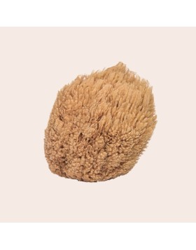 Natural Grass Greek Sponge - natural color